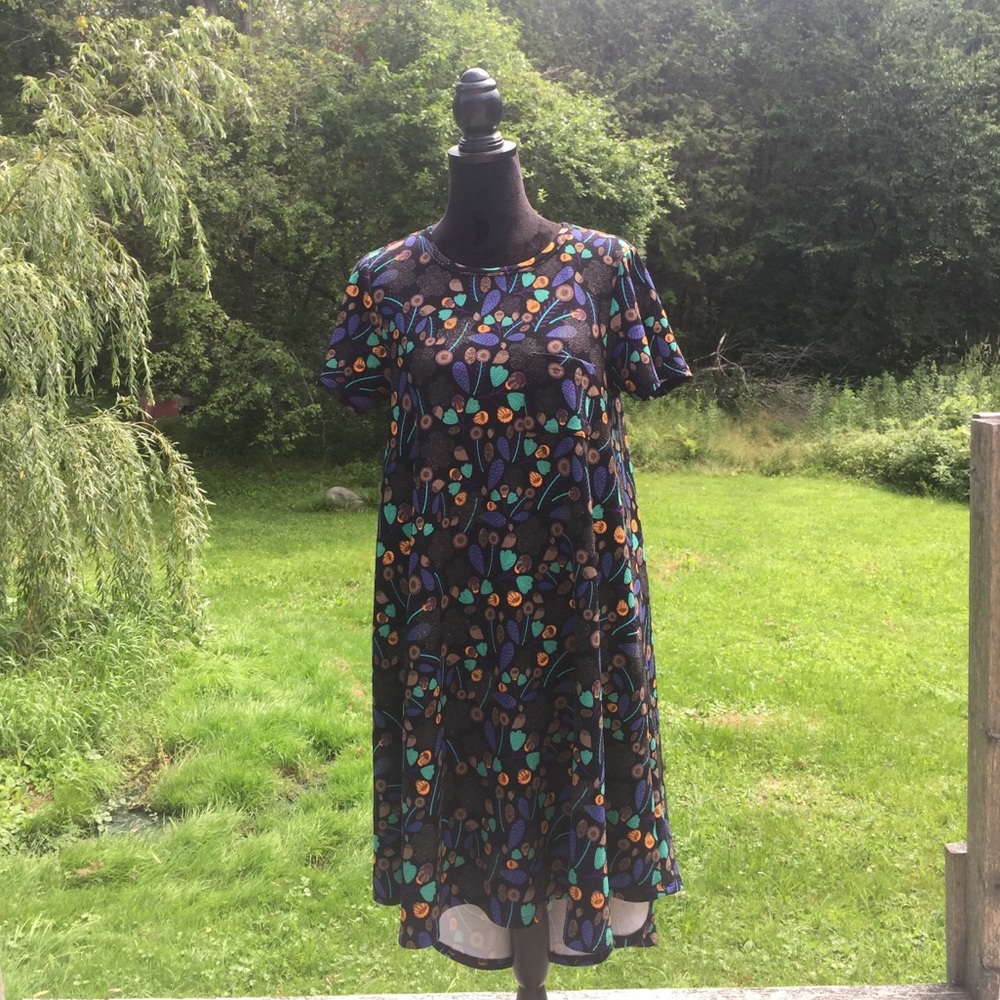 Lularoe Carly NWOT